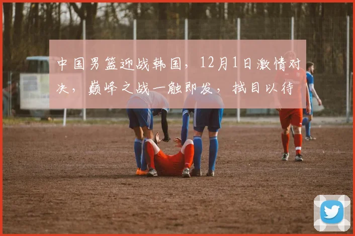 中国男篮迎战韩国，12月1日激情对决，巅峰之战一触即发，拭目以待