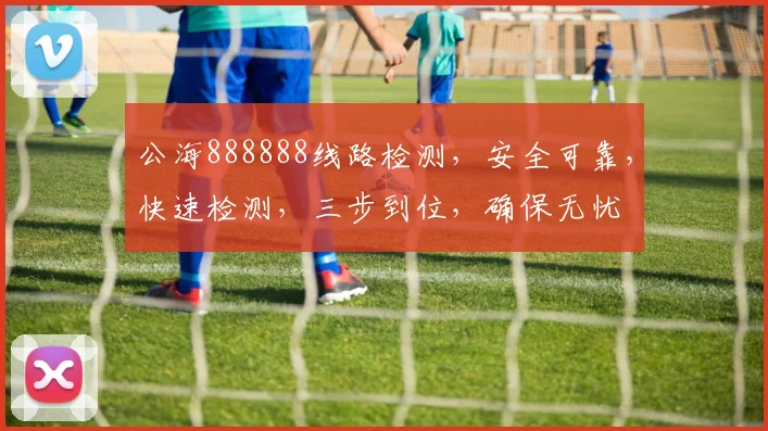 公海888888线路检测，安全可靠，快速检测，三步到位，确保无忧