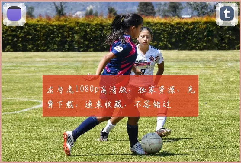 龙与虎1080p高清版，独家资源，免费下载，速来收藏，不容错过